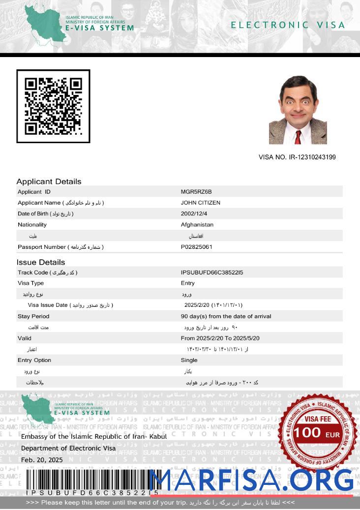 Blank Iran e visa template in Word and Pdf formats